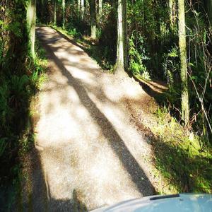 Hell Followed Me Home