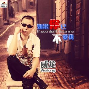 如果你已不爱我