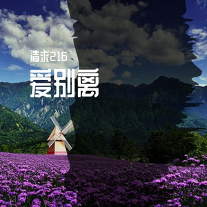 爱别离 (13)