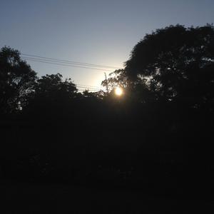 How Does The Breeze Of The Muse Blow Thru? (Boop Boo Tap Tap) ((raw instrumental demo))