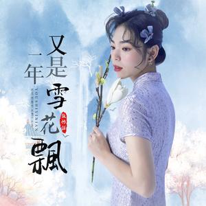 又是一年雪花飘（DJ月之歌版）