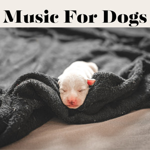 Pet Music