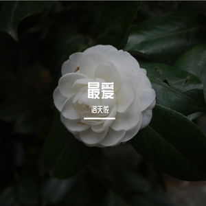 最爱