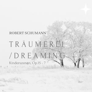 Kinderszenen, op. 15 no.7 Träumerei/Dreaming