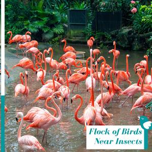 Tropical Rainstorm Aftermath