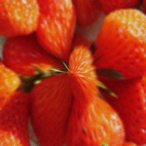 Microspectrophotometrically