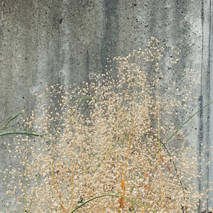 愛と光を抱きしめて