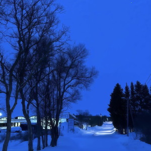 20251124_084525_0.wav