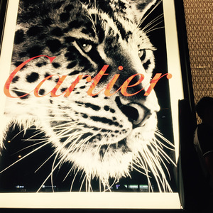 小贤 cover严老板