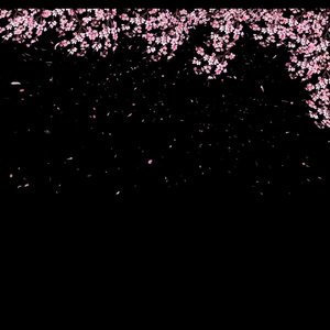 可我不是海（翻自 FBI利比）