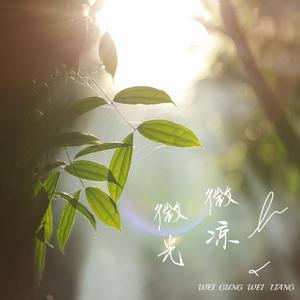 微光微凉（翻自 叶里）