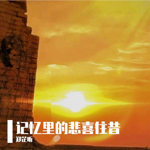 记忆里的悲喜往昔