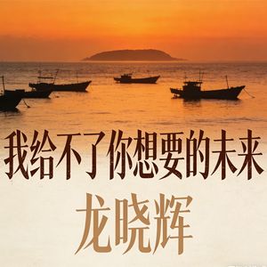 我给不了你想要的未来