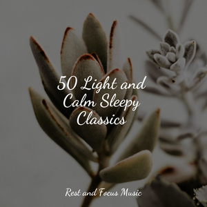 Soft Echoes