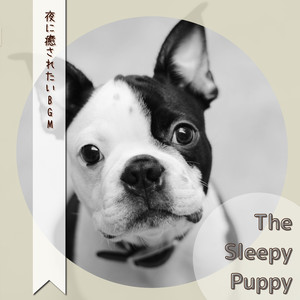 Reflections on the Threshhold of Sleep