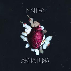 Armatura