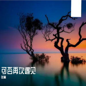 可否再次遇见
