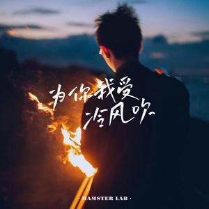 为你我受冷风吹 - R&B微醺男声