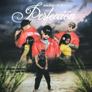 Perfeccion