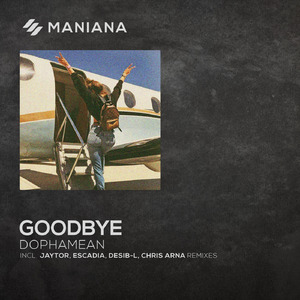Goodbye (Desib-L Remix)