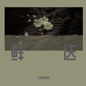 遗忘的路