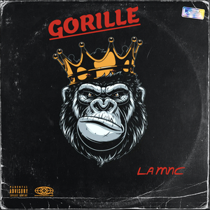 Gorille