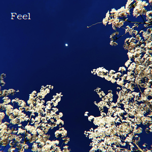Feel