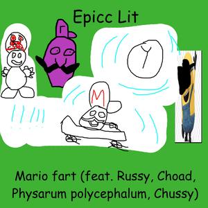 Mario fart (feat. Russy, Choad, Physarum polycephalum & Chussy)