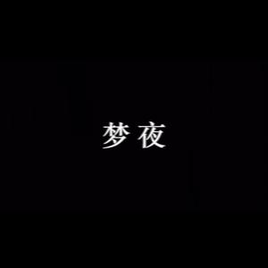 Leyoo17-梦 夜（chickenna remix）