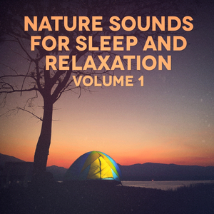 Sounds from a Field: Larks and Crickets