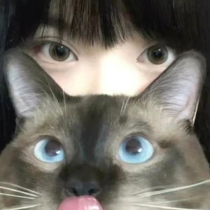 是的我又一个人出发了