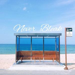 Never Bleak（Chinese Ver.）（翻自 白白白色吐司）