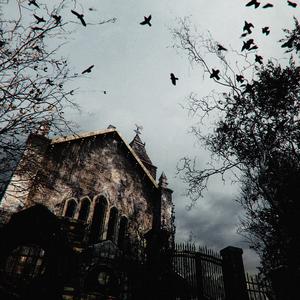 生生世世爱（慢速）