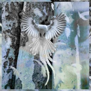 Melodize (feat. chexuir)