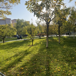 我们最深的默契是假装没关系