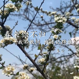 春来你不归