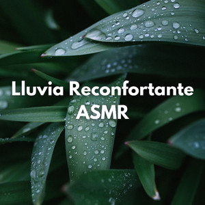 Serenata De Dicha Lluviosa