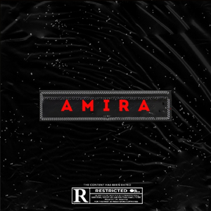 Amira