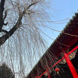 有种痛苦叫“长大”