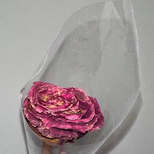 christmas with you (feat. MAX)