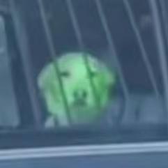 [FREE]"NOVA"-GUNNA & YSL &LIL KEED TYPE BEAT