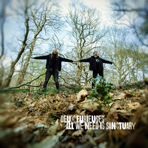 All We Need is Sanctuary