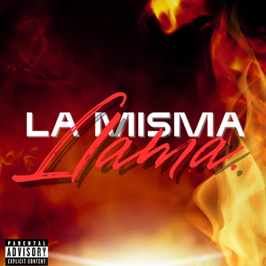 LA MISMA LLAMA.