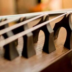 【古筝版】女儿情（翻自 李玲玉）