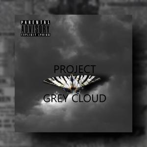 Project Grey Cloud