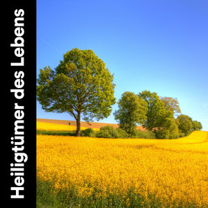 Erstaunliches Wassergeräusch