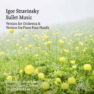 The Firebird:The Firebird Enters, Pursued by Ivan Tsarevich