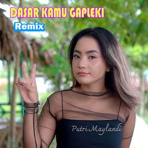 Dasar Kamu Gapleki