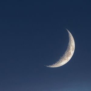 我可是你手中那一朵鲜花