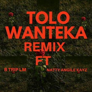 Ntolo Wanteka (Remix)
